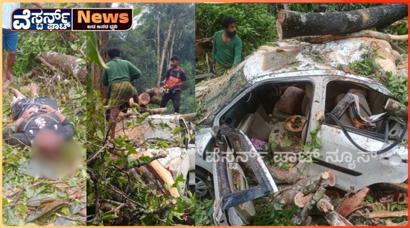 ಮುಂಗಾರು ಪೂರ್ವಮಳೆಗೆ ಇದಿಗ ಮೂರನೆ ಬಲಿ..!