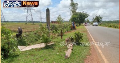 ಸಾಗರ ತಾಲೂಕಿನ ಸಾಗರ ತಾಳಗುಪ್ಪ ಹ್ಯೆವೇ ರಸ್ತೆಯಲ್ಲಿ ಕಳೆದ ಒಂದು ವರ್ಷದಿಂದ ನಾಮಫಲಕ ಇಲ್ಲ.