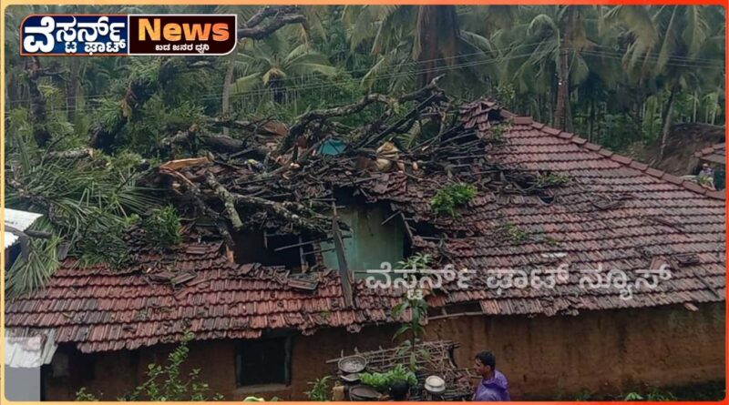 ತಾಲೂಕಿನ ಆದ್ಯಂತ ವಿಪರೀತ ಮಳೆಯಿಂದ ಅಪಾರ ಪ್ರಮಾಣದ ಹಾನಿ.