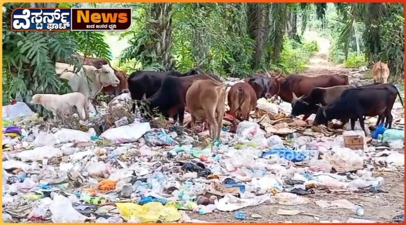 ಬಾಳೆಹೊನ್ನೂರು ಗ್ರಾಮ ಪಂಚಾಯಿತಿಯಿಂದ ಸಂಕ್ರಮಿಕ ರೋಗ ಹರಡುವಿಕೆ. ಕಸದಿಂದ ಬೇಸತ್ತ ಜನ