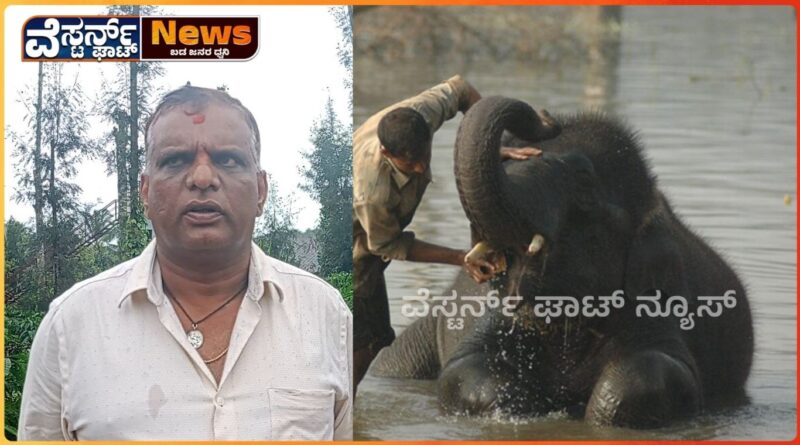 ಕಾಫಿನಾಡಿಗೆ ಆನೆ ಬಿಡಾರ, ತನೂಡಿಗೆ ಆನೆ ಬಿಡಾರ ಬೇಡ: ಉಮೇಶ್