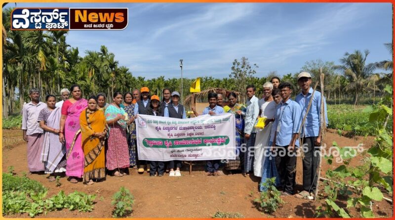 ಕೀಟ ನಿಯಂತ್ರಣಕ್ಕೆ ಸೋಲಾರ್ ದೀಪಾಕರ್ಶಕ ಬಲೆ